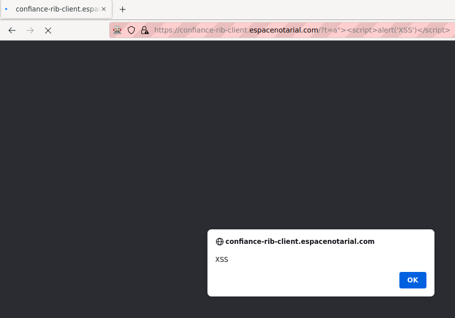 Screenshot of the reflected XSS